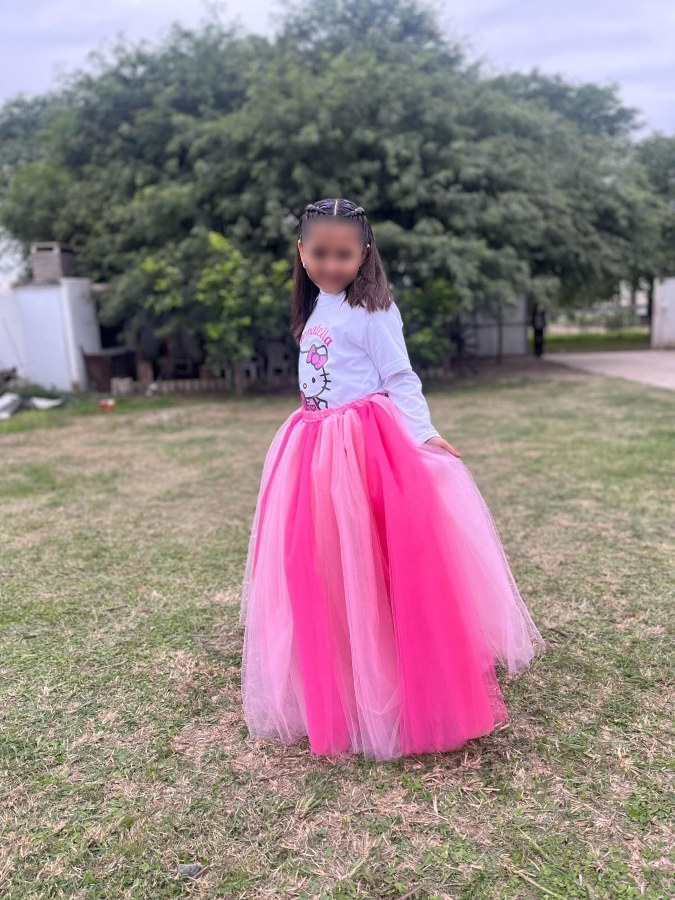 Pollera de tul — Hipnosis Diseño & Confección